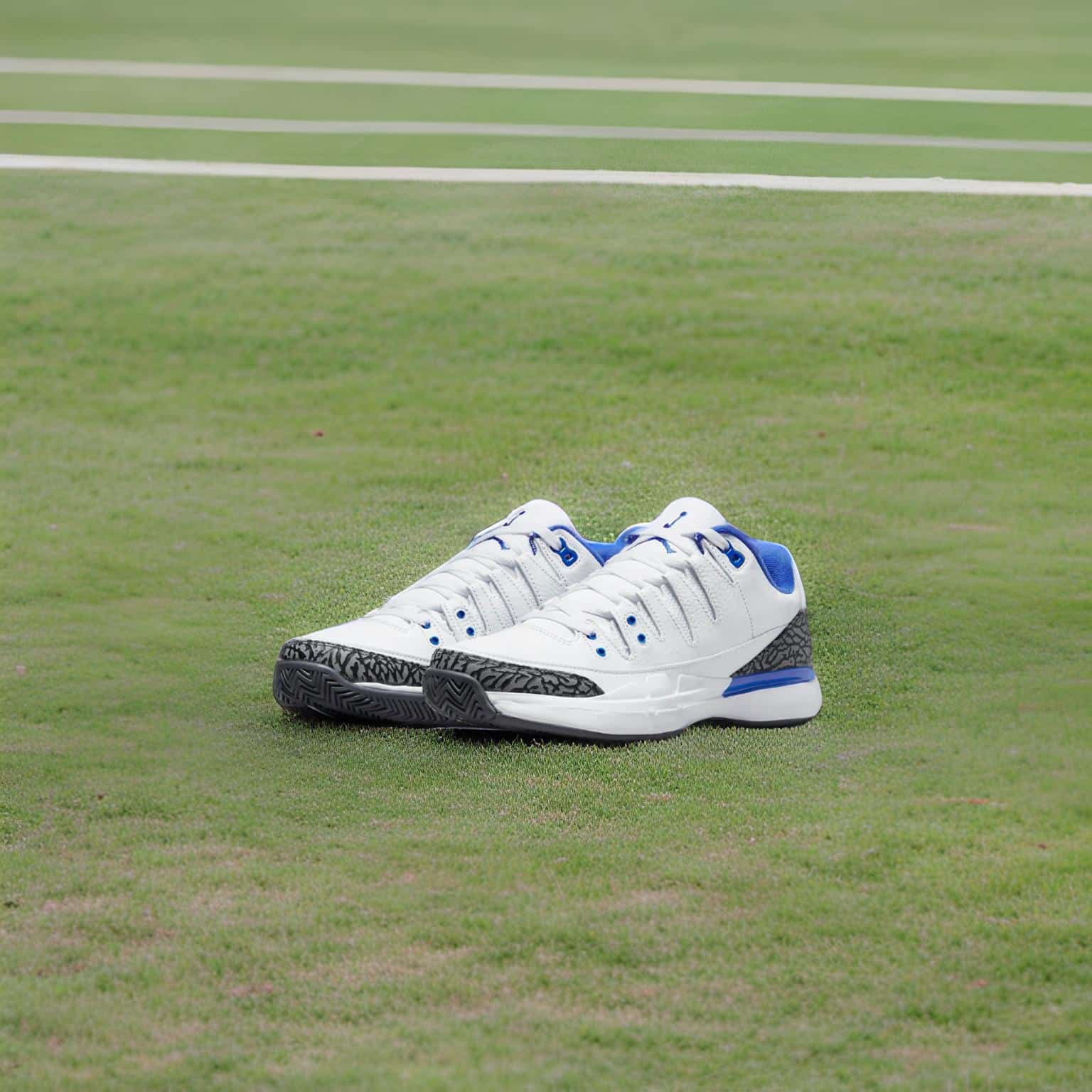 shoes photography nike tennis shoes example